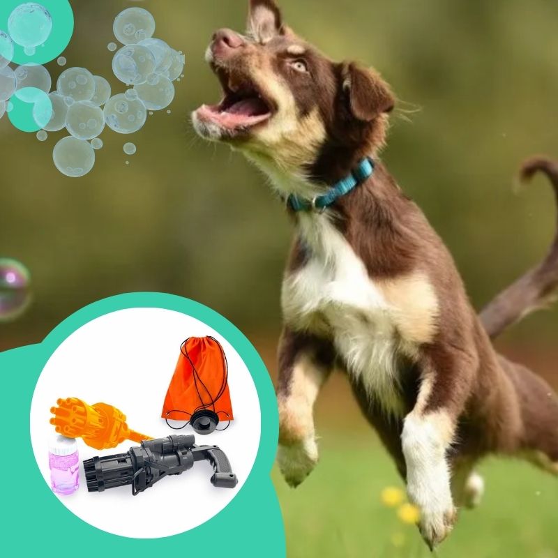 Mini 8 Hole Bubble Gun Toys For Dogs And Puppies. Great family fun.